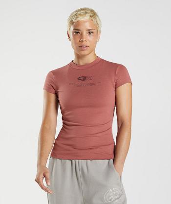 Dámské T Shirts Gymshark Gs10 Year Body Fit Růžové Hnědé | CZ 3285HAP